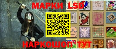 дмт Аргун