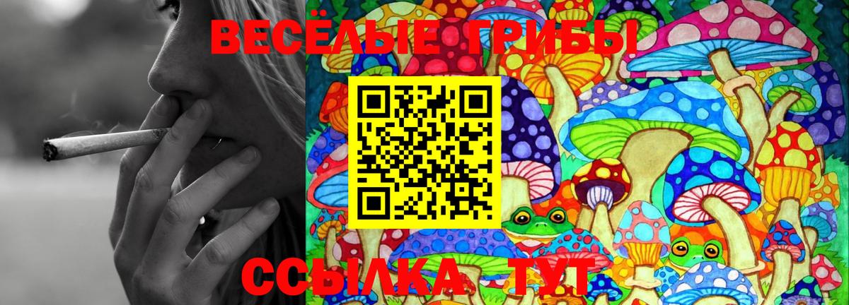 Галлюциногенные грибы Cubensis  Псилоцибиновые грибы Cubensis  Верхний Уфалей  Вход с VPN 